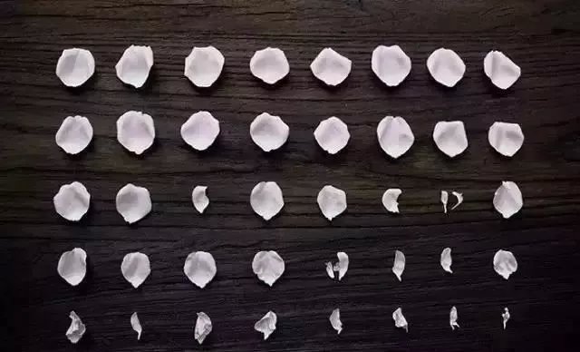 只要花点心思，破房子也能变成网红花店，这里明星都喜欢来打卡