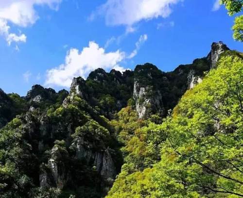 西安的夏天是什么颜色的,西安的春天有多美