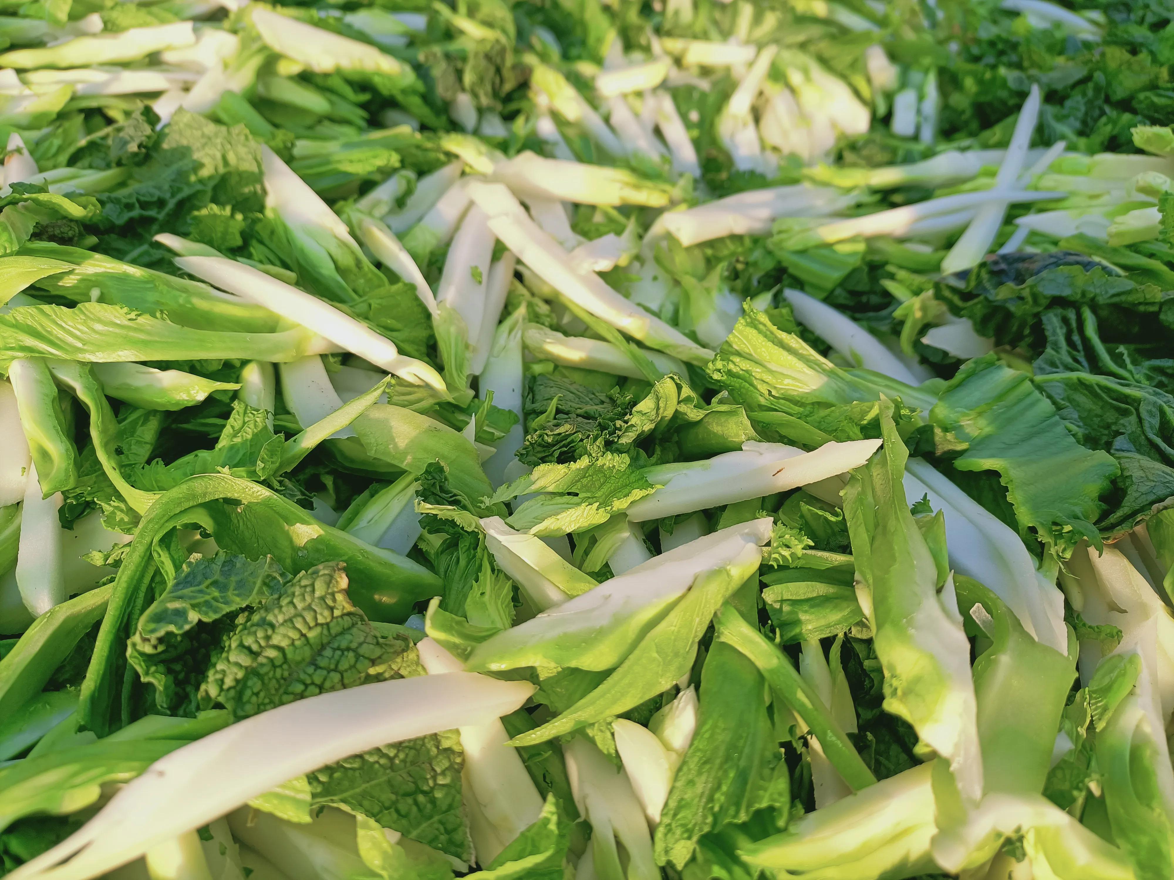 在农村年收入25万,风险指数低,且看我如何做到