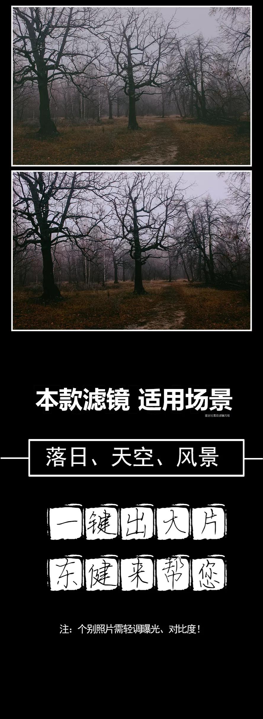 夕阳西下暮色斑驳,夕阳下光影斑驳如梦如幻