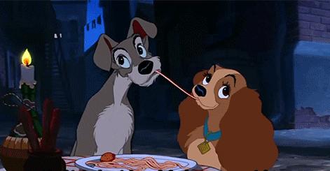 国际狗粮,世界狗粮日