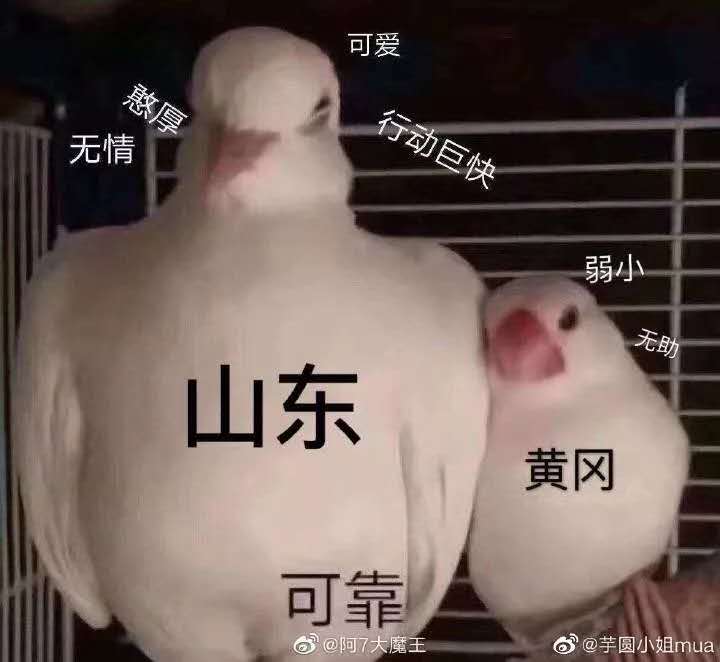 灞变笢鍏ㄥ姏鏀彺姝︽眽,姝︽眽鏈夐毦鍏柟鏀彺灞变笢