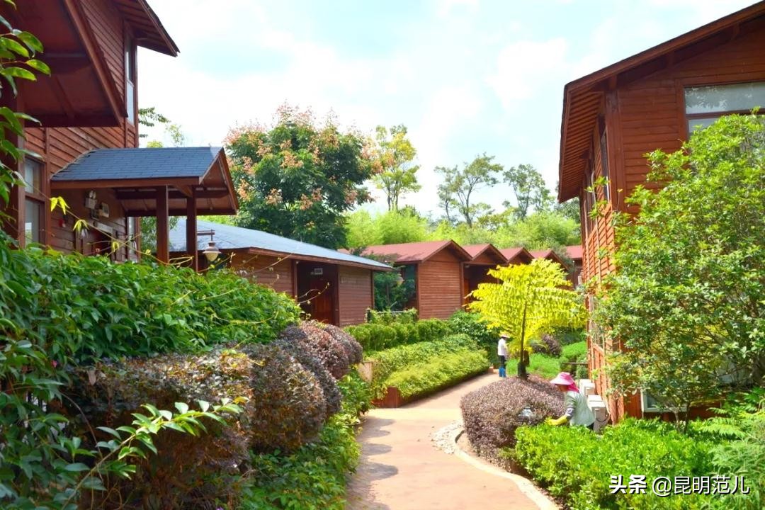 春节昆明周边自驾游攻略,昆明周边亲子游自驾游攻略