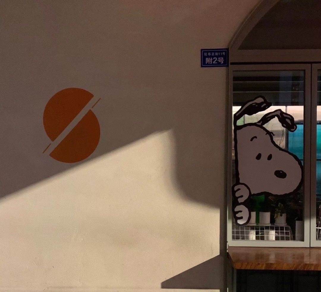 经验分享型主播背景图,今日份背景图分享