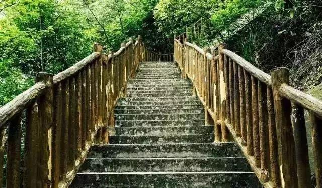 假期到处堵,周末双休哪里旅游堵