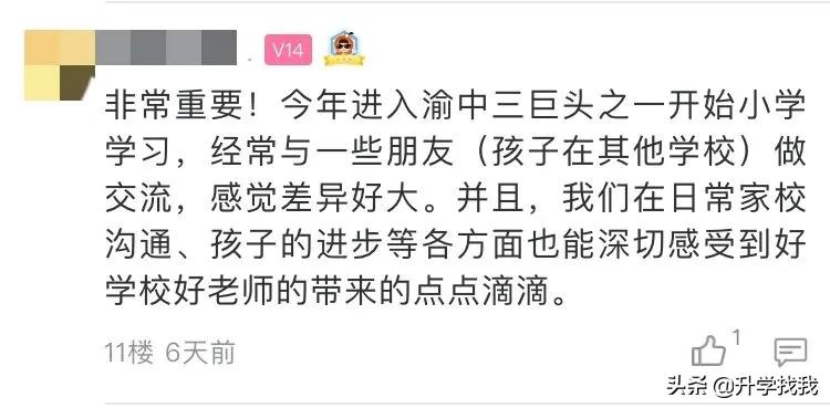 重庆沙区小学怎么样,小学教育重不重要