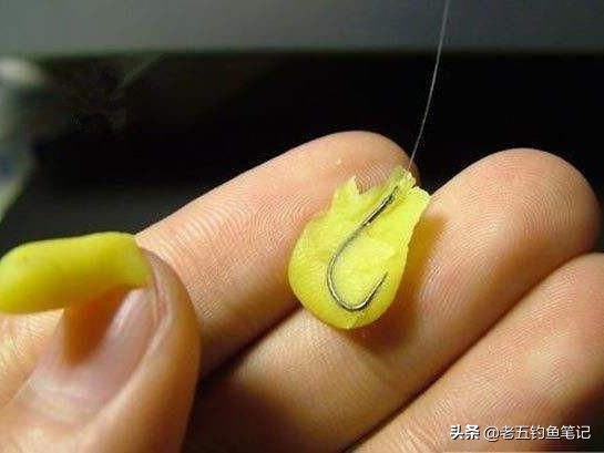 野钓最实用钓法,重庆禁渔期一杆一线一钩可钓鱼吗