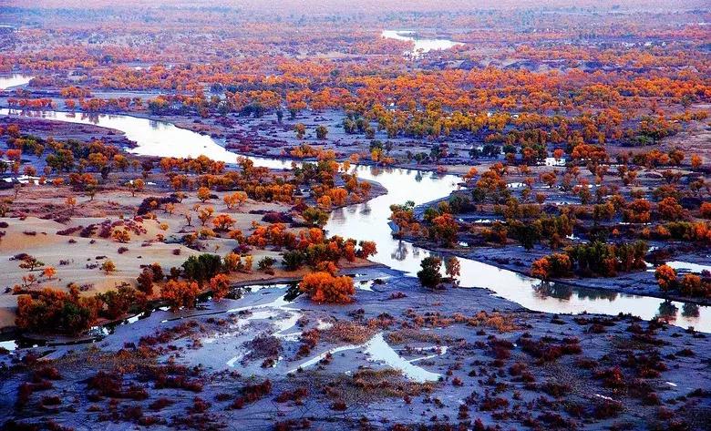 北疆的美完整版,北疆的景最美
