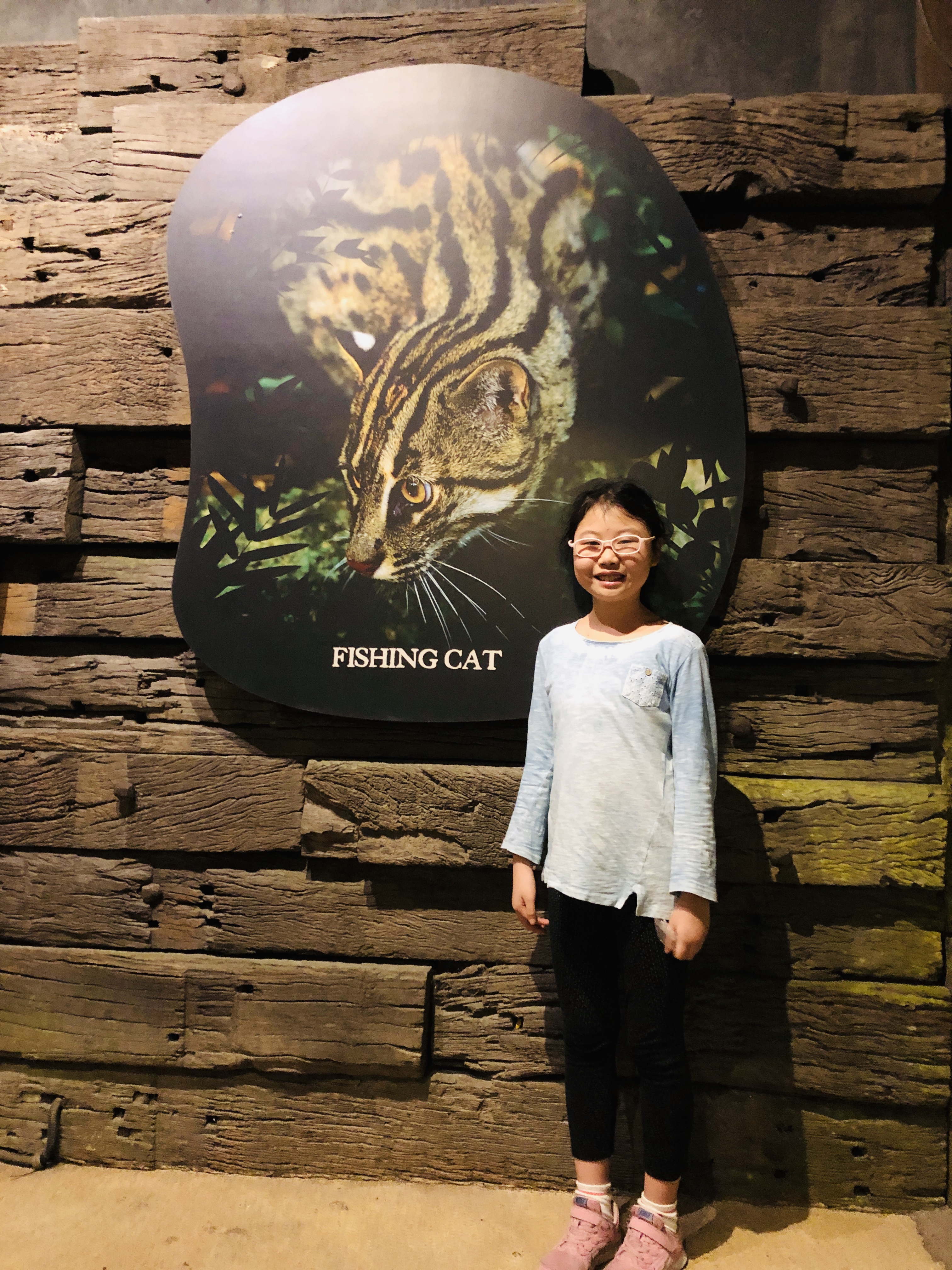 20190125-0206新加坡+马来西亚自助游