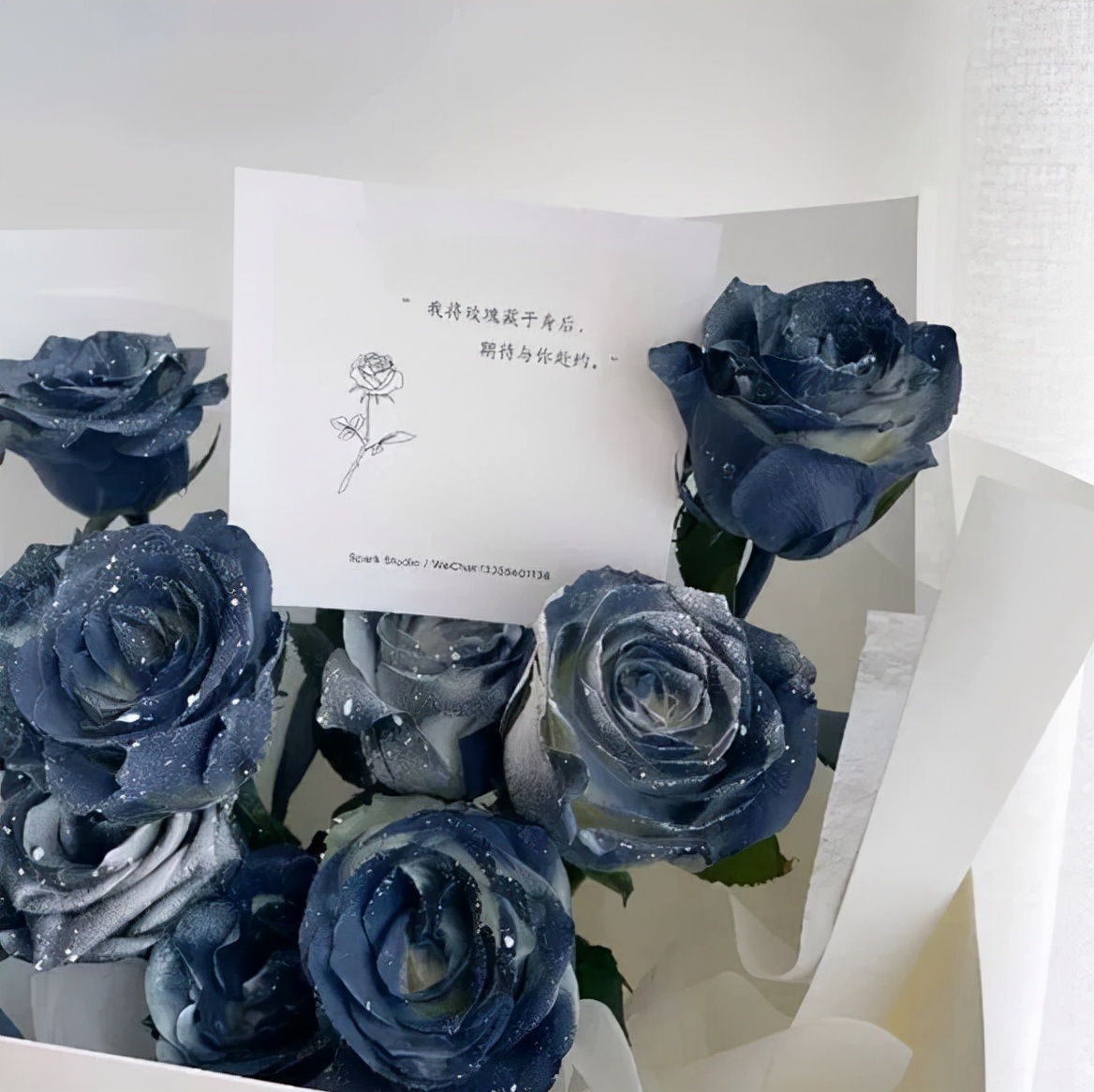 网红爆款喷花,网红喷花系列