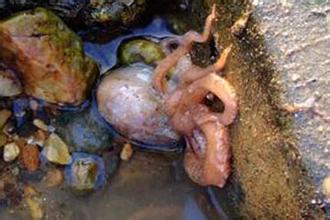 中国城市辽宁,辽宁省大连城市介绍