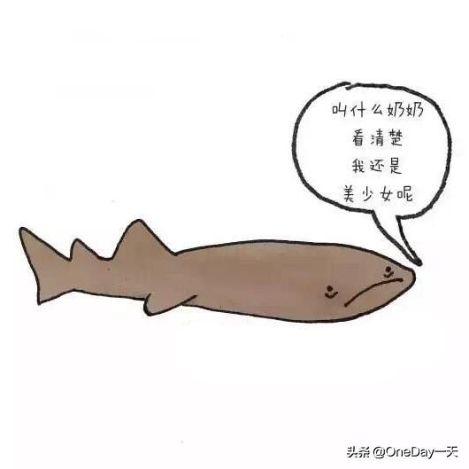 动物冷知识搞笑动画,搞笑动物冷知识22