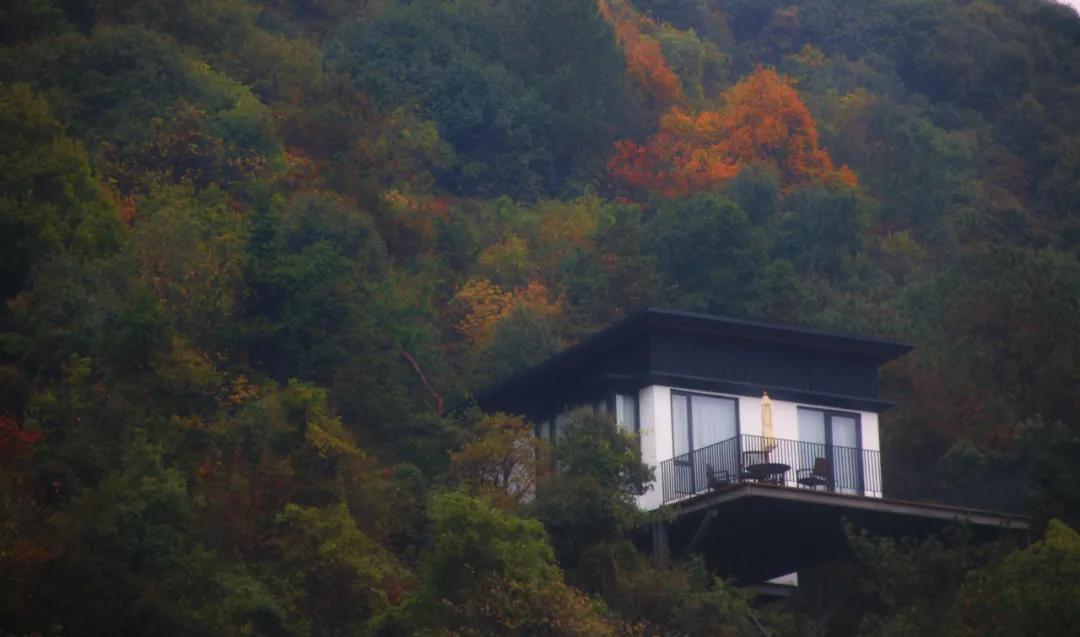 露天温泉小院精品,一房一厅庭院私家温泉