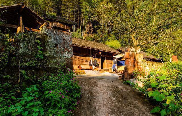 半个重庆人的感受,重庆游玩四面山到哪里玩