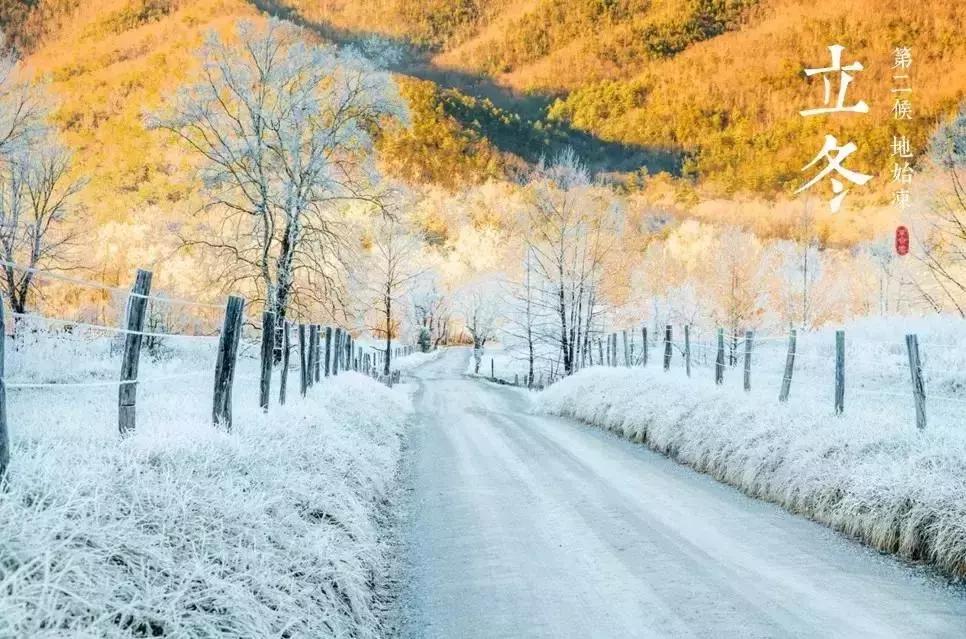 今天立冬养生秘诀全攻略,冬日藏精养肾