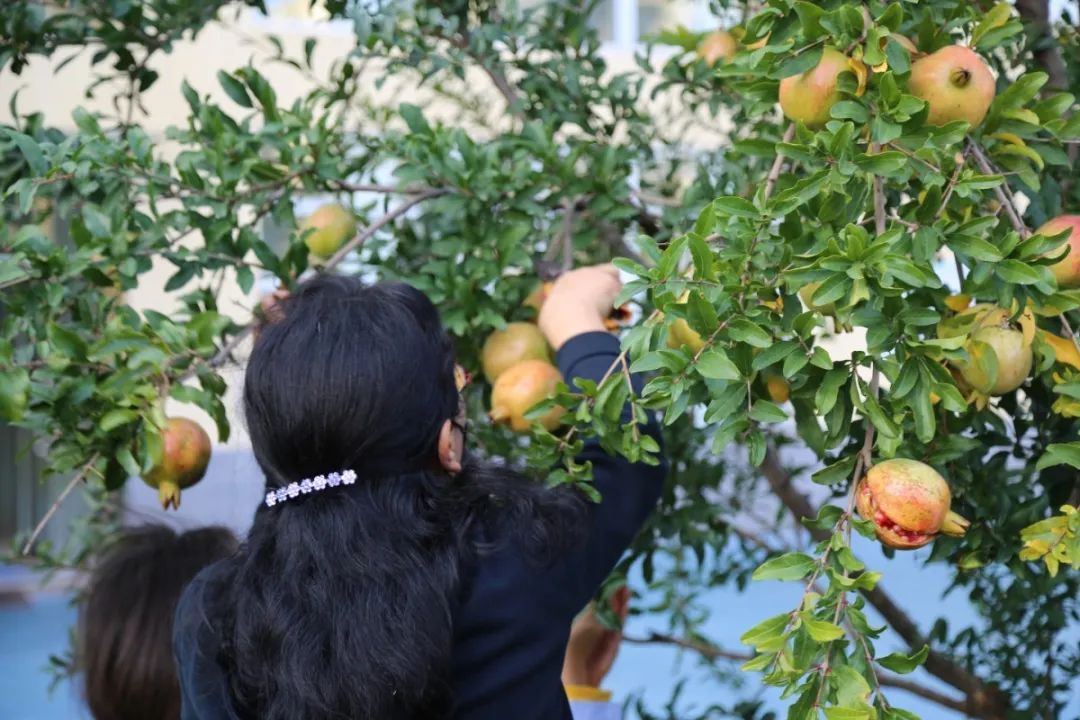 北京所有小学排名一览表,北京30所小学排名一览表
