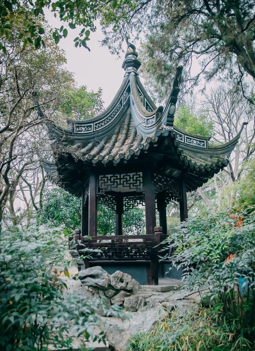 上海免费的旅游攻略,上海最实惠的免费旅游攻略