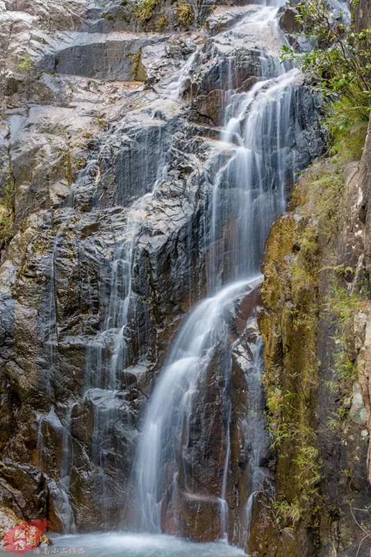 昌江原生态热带雨林森林秘境,海南万宁一个被大自然宠爱的地方