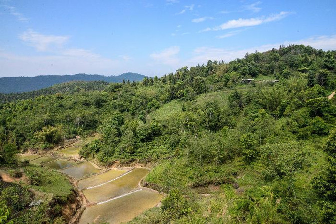 云南普洱茶山制茶全实录,云南古茶制茶方法有哪些