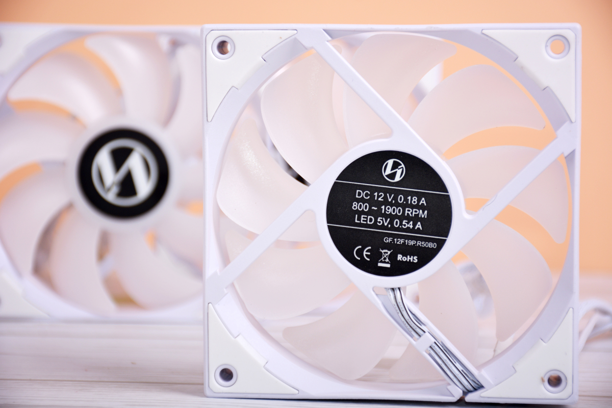 黑色星期五变装,黑色星期五变装hd版