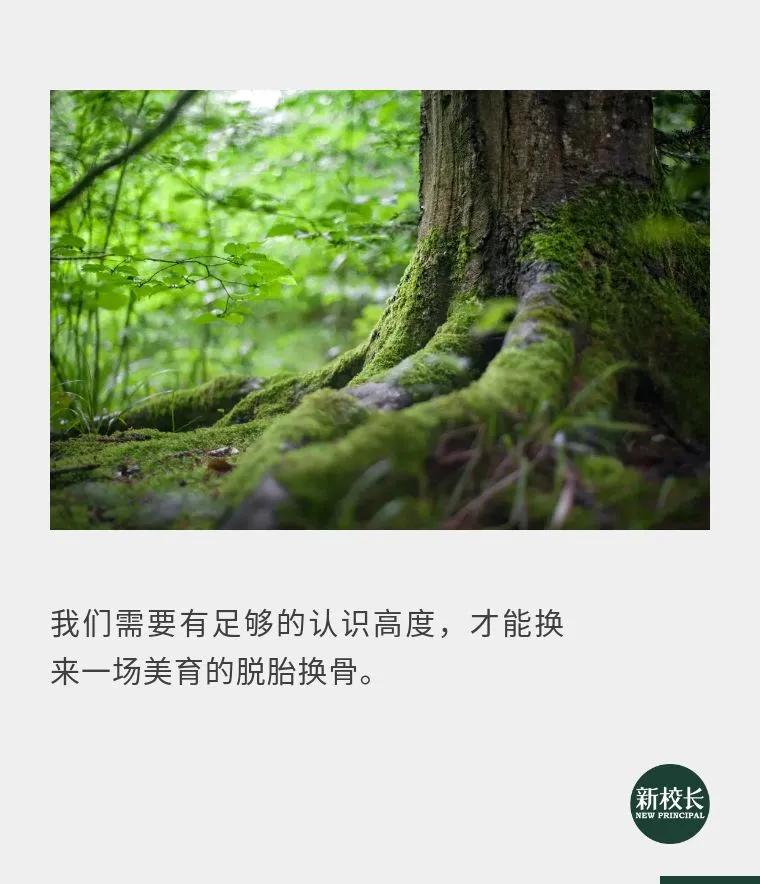 最好的美育是教育孩子,为什么我们的教育不能缺少美育