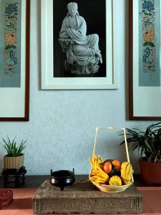 冬季助眠好养的花,什么花最好养又有助睡眠