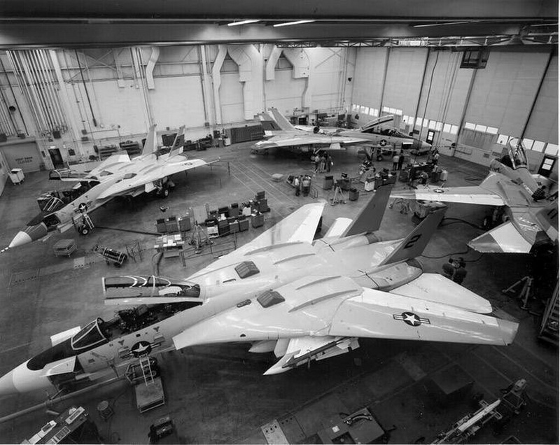 猫咪需要哪些用品,猫迷惑新技能