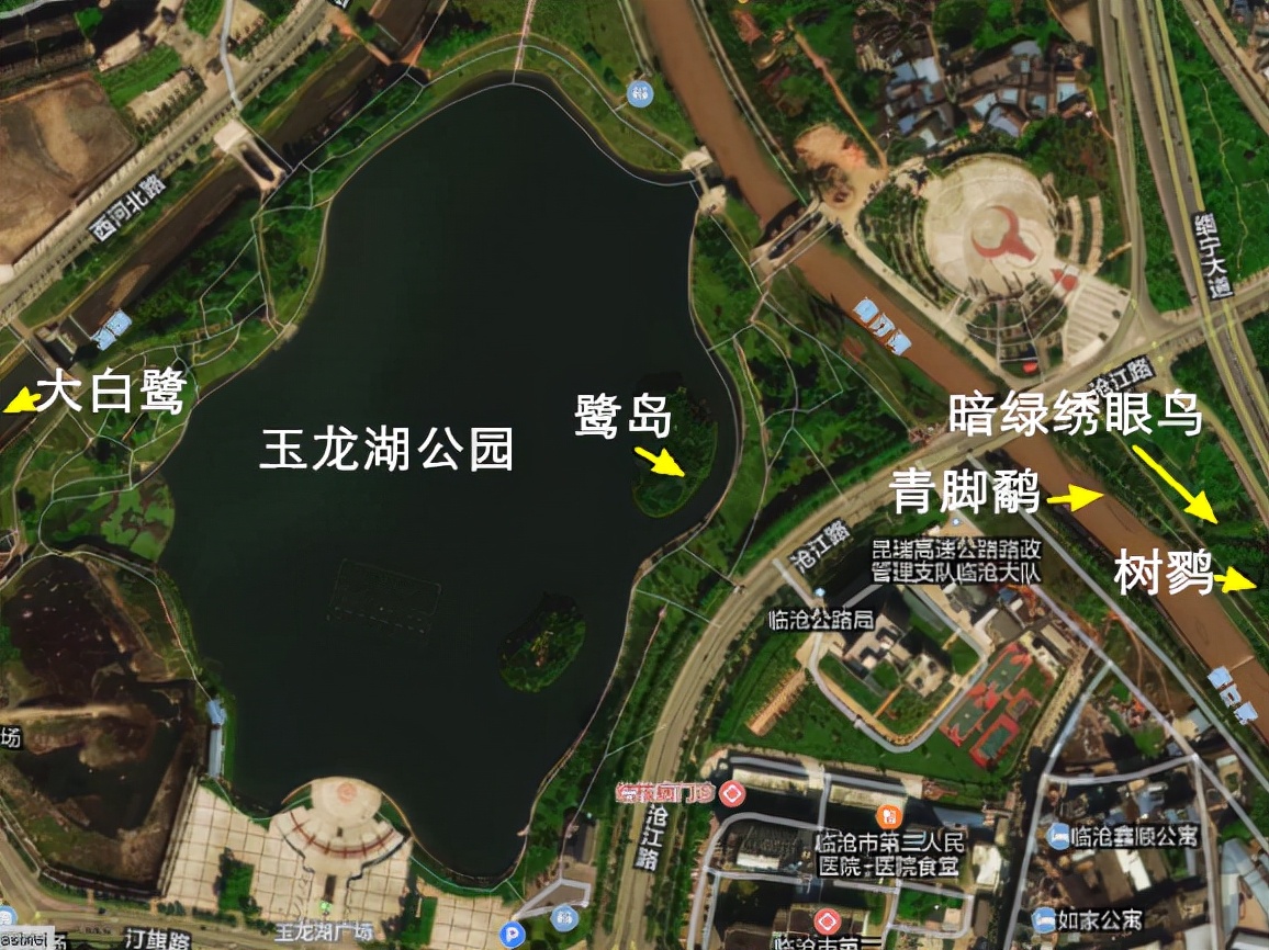 云南玉龙湖观鸟,临沧玉龙湖清晨的美景照片