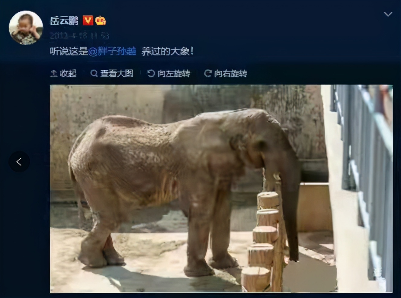 今年最火爆的七星级团综：亚洲象北漂