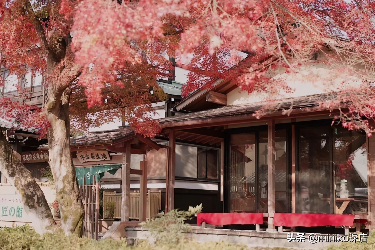 日本关西五天四晚旅游,日本关西6天5夜