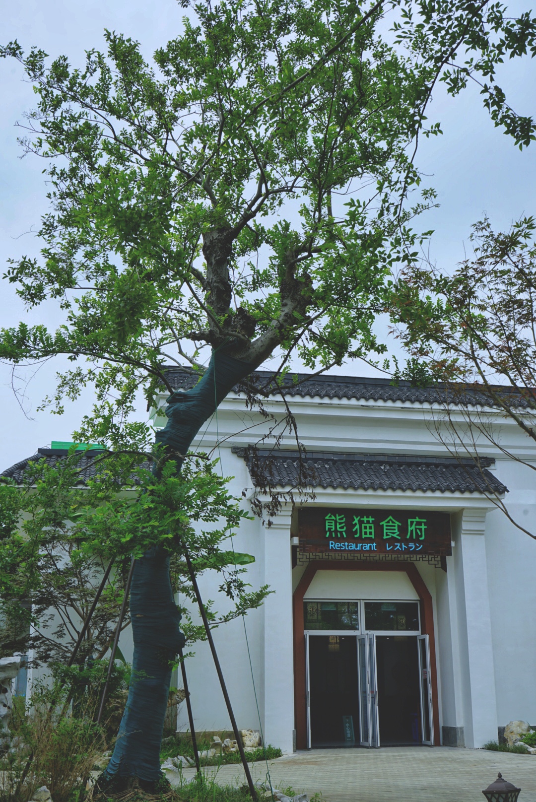 苏州乐园夜场游玩攻略,苏州乐园攻略玩的人多不