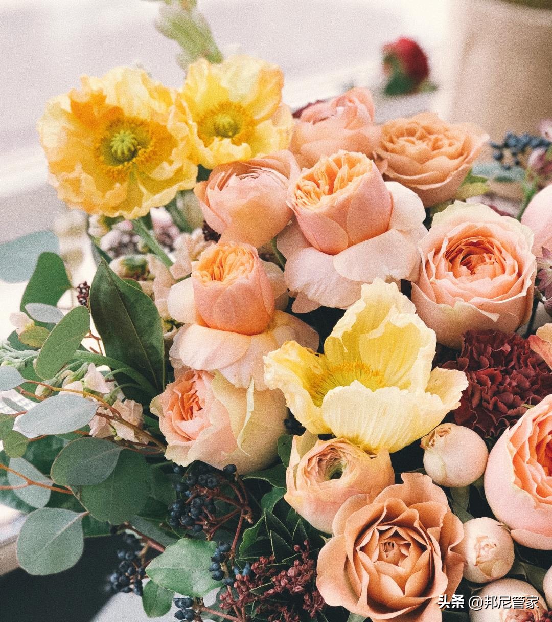 送礼雷区,送礼物雷区