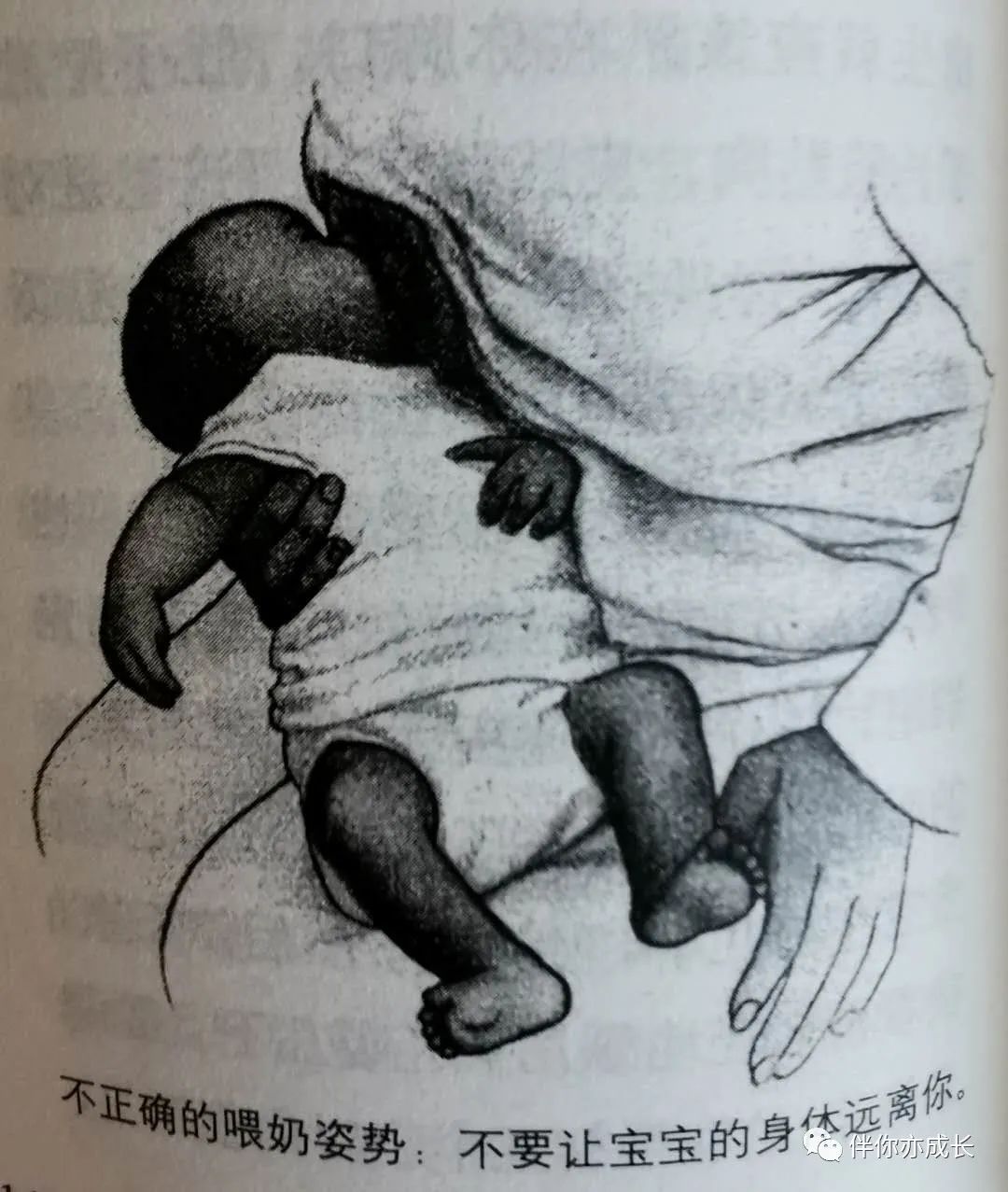 喂奶姿势和衔乳姿势的注意点