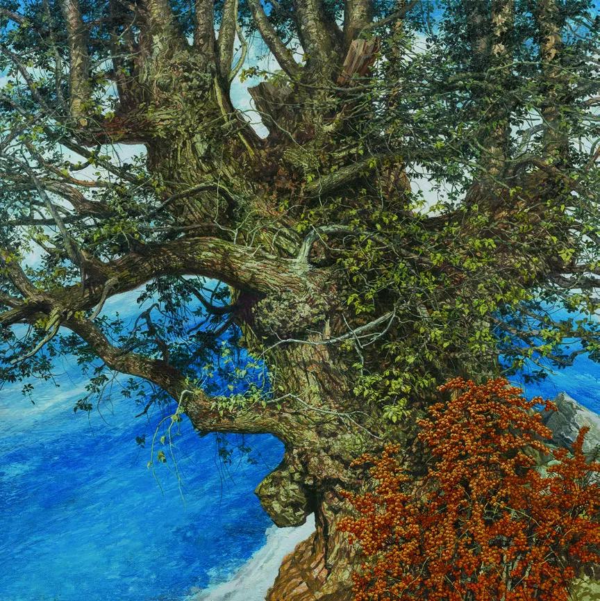 第十三届全国美展油画作品集,第十三届全国美术展油画作品集