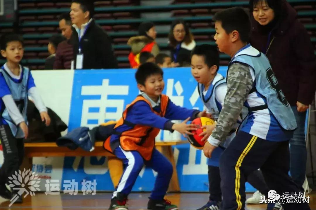 中国篮球名宿走进学校,中国篮球名宿26分