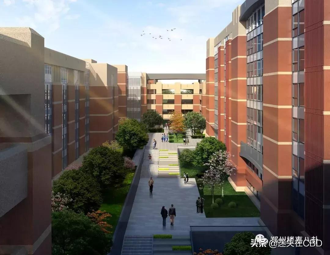 郑州滨河国际新城有哪些学校,郑州滨河国际新城中小学教育划片