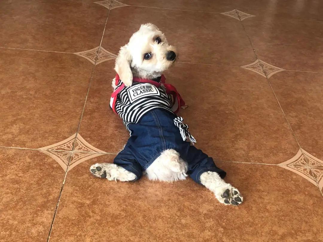 一组数字了解中国的变化,一组数据看消费回暖