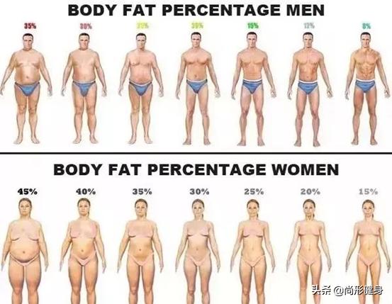 哪些健身房可以测体脂,健身房怎么测体脂