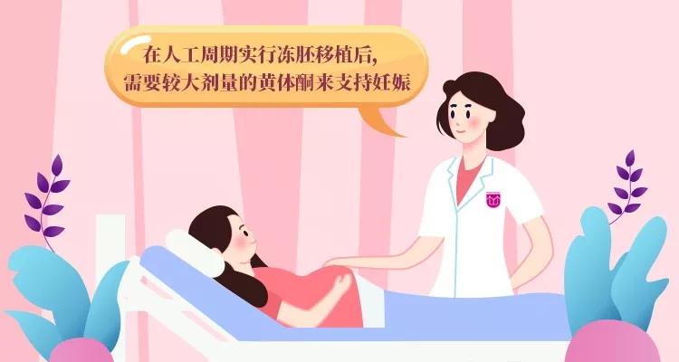 试管移植鲜胚还是囊胚由什么决定,试管移植医生的技术决定成功率