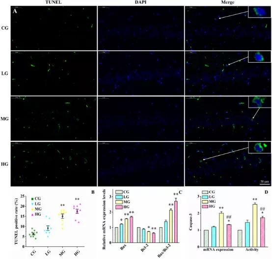 097期抑研报｜抑郁症，用心理疗法还是药物疗法？