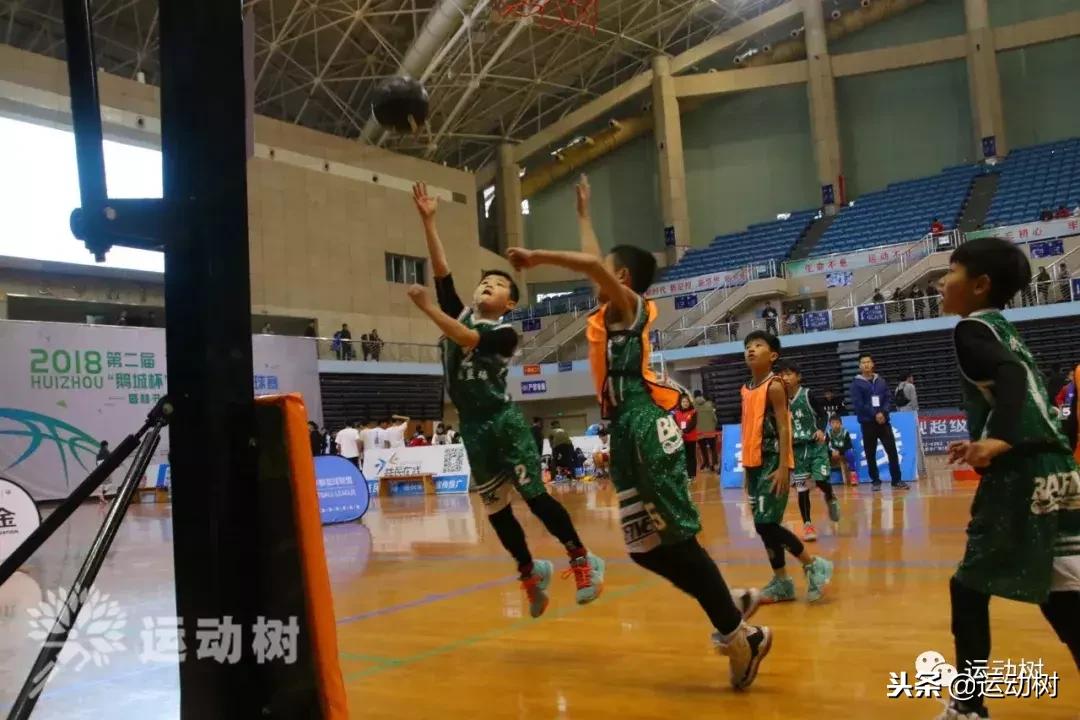 中国篮球名宿走进学校,中国篮球名宿26分