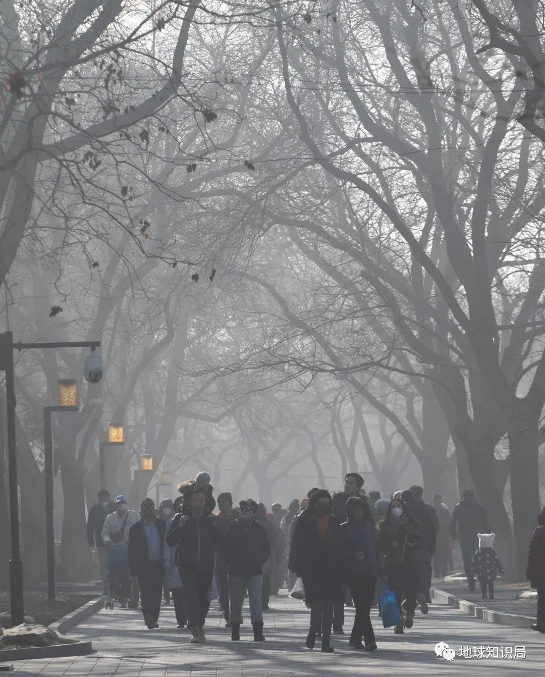 咱们国家，离不开煤炭｜地球知识局