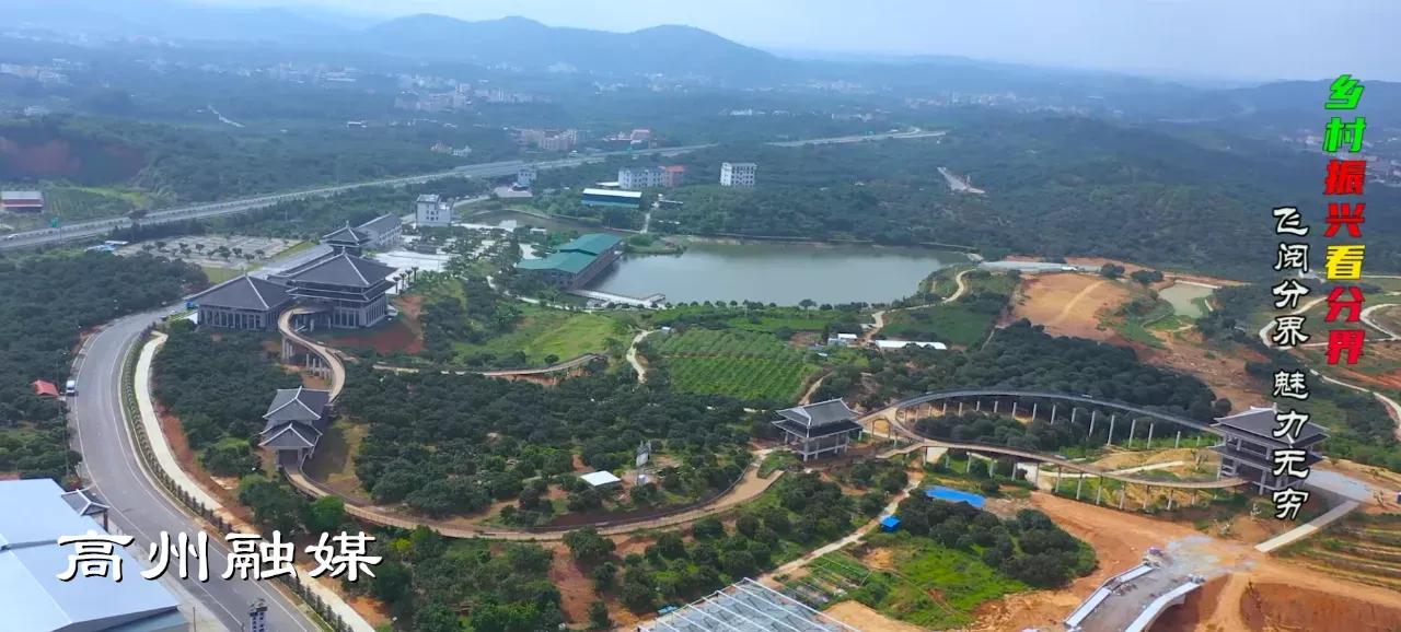 飞阅系列,飞阅新闻最新消息