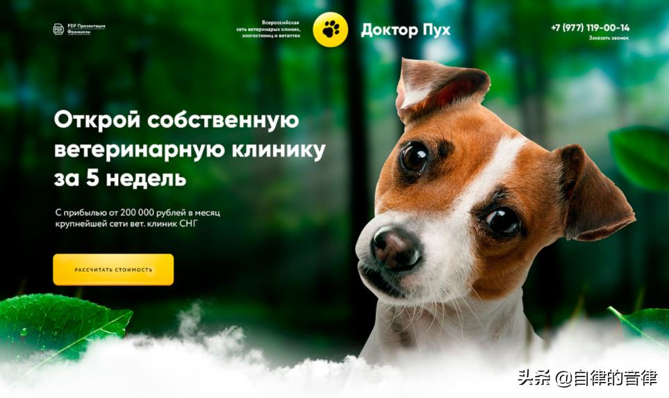 只要加些植物元素，你的PPT页面精致又有格调