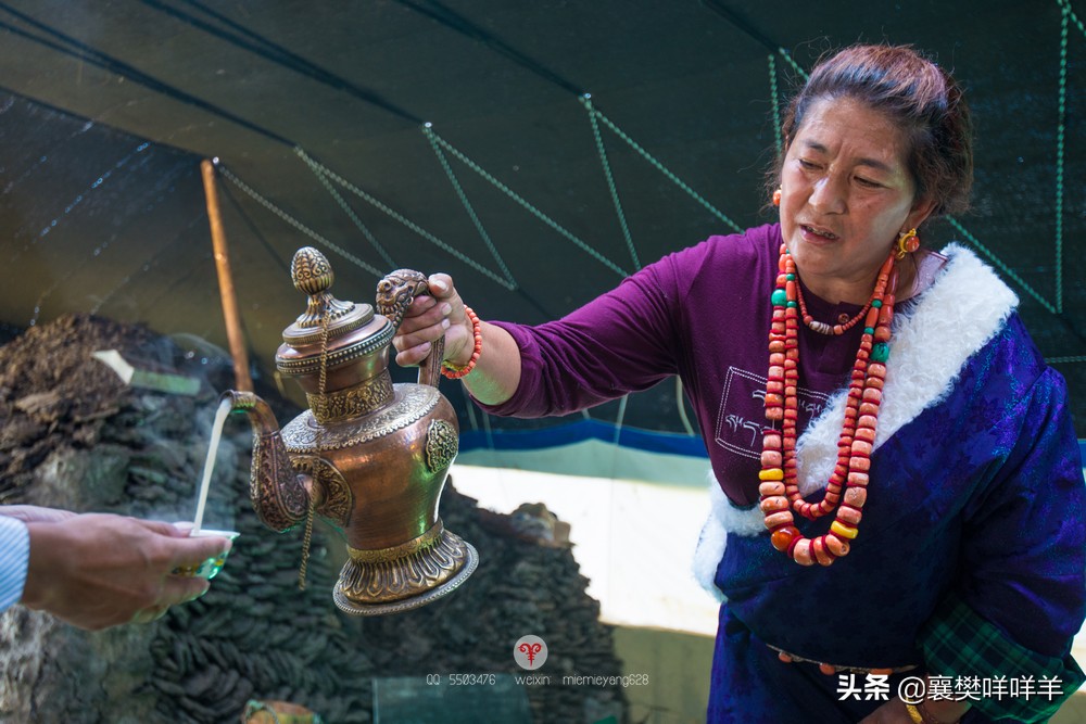 中国名马之乡,也是亚洲第一天然牧场