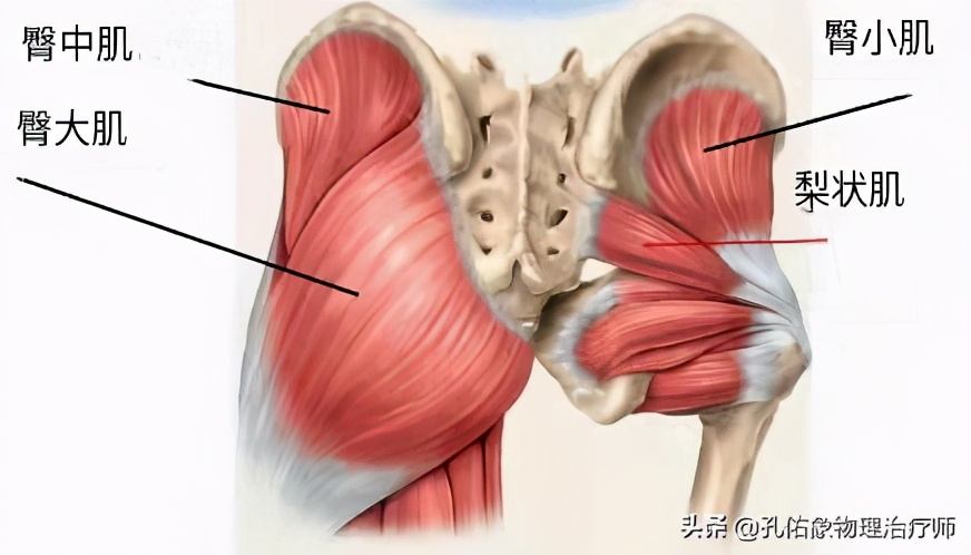 久坐右边臀部疼痛发麻怎么锻炼,久坐臀部疼痛怎么锻炼