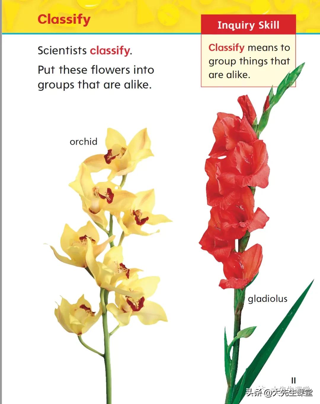 鍔犲窞science绉戝鏁欐潗,鍔犲窞绉戝science鏁欐潗