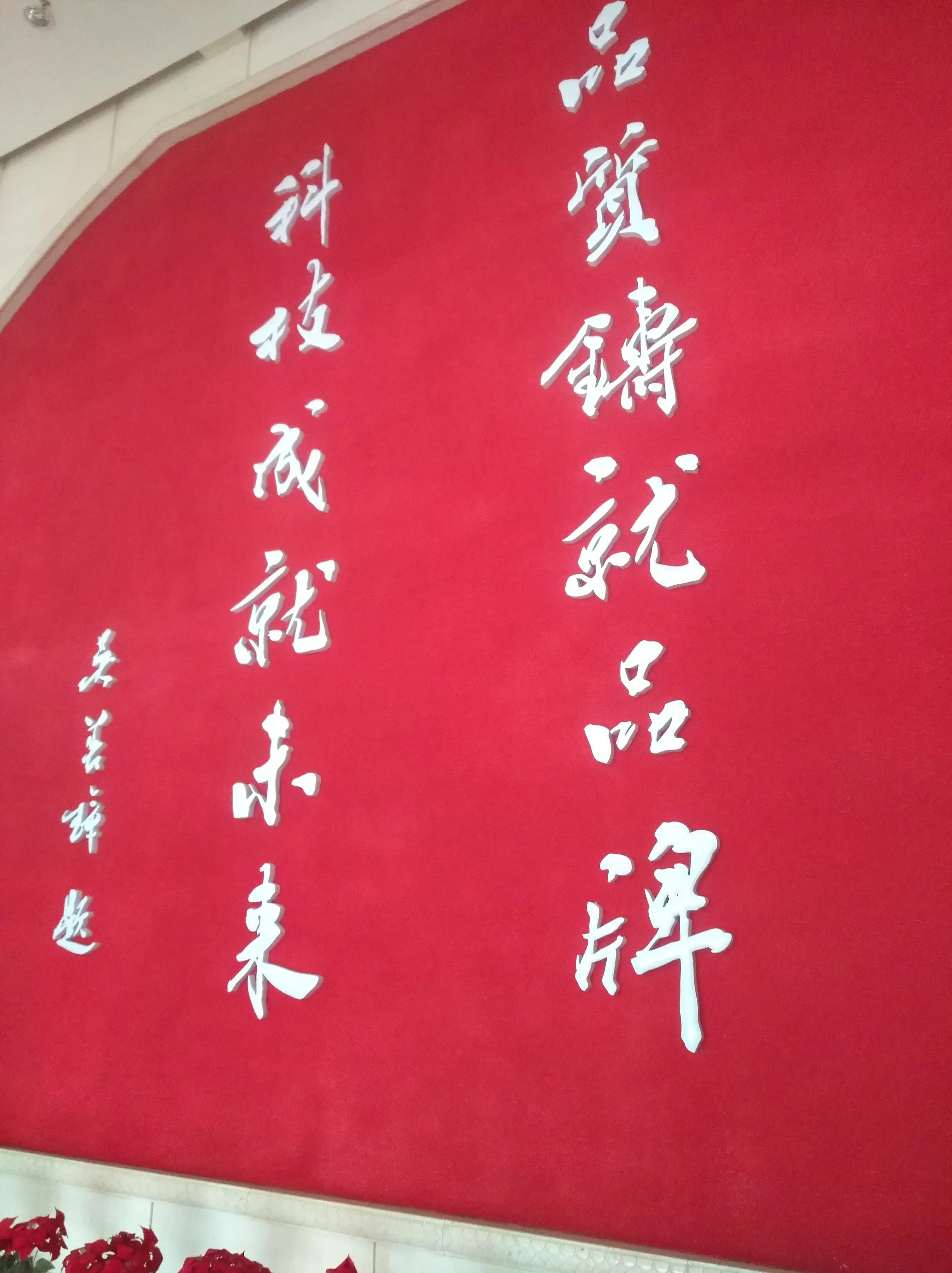 参观观摩学习心得体会,宁夏百瑞源车间参观