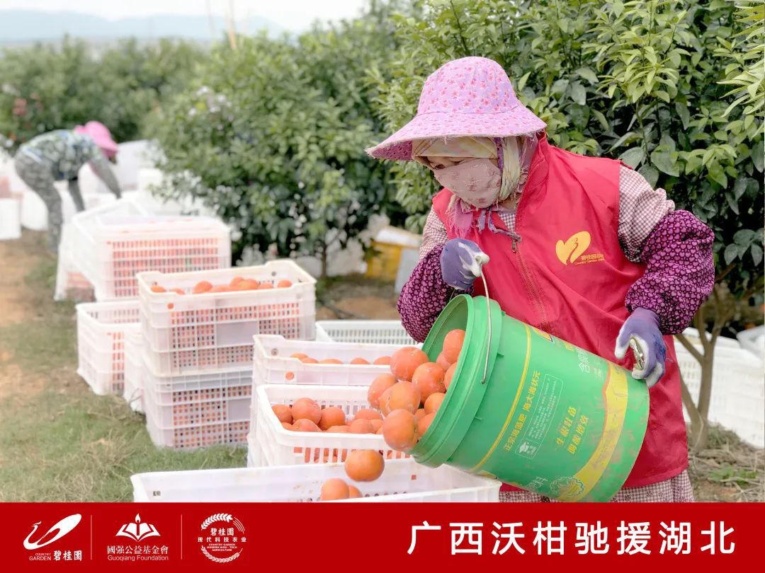 抗疫机器人和智能装备,机器人助力疫情防控物资生产