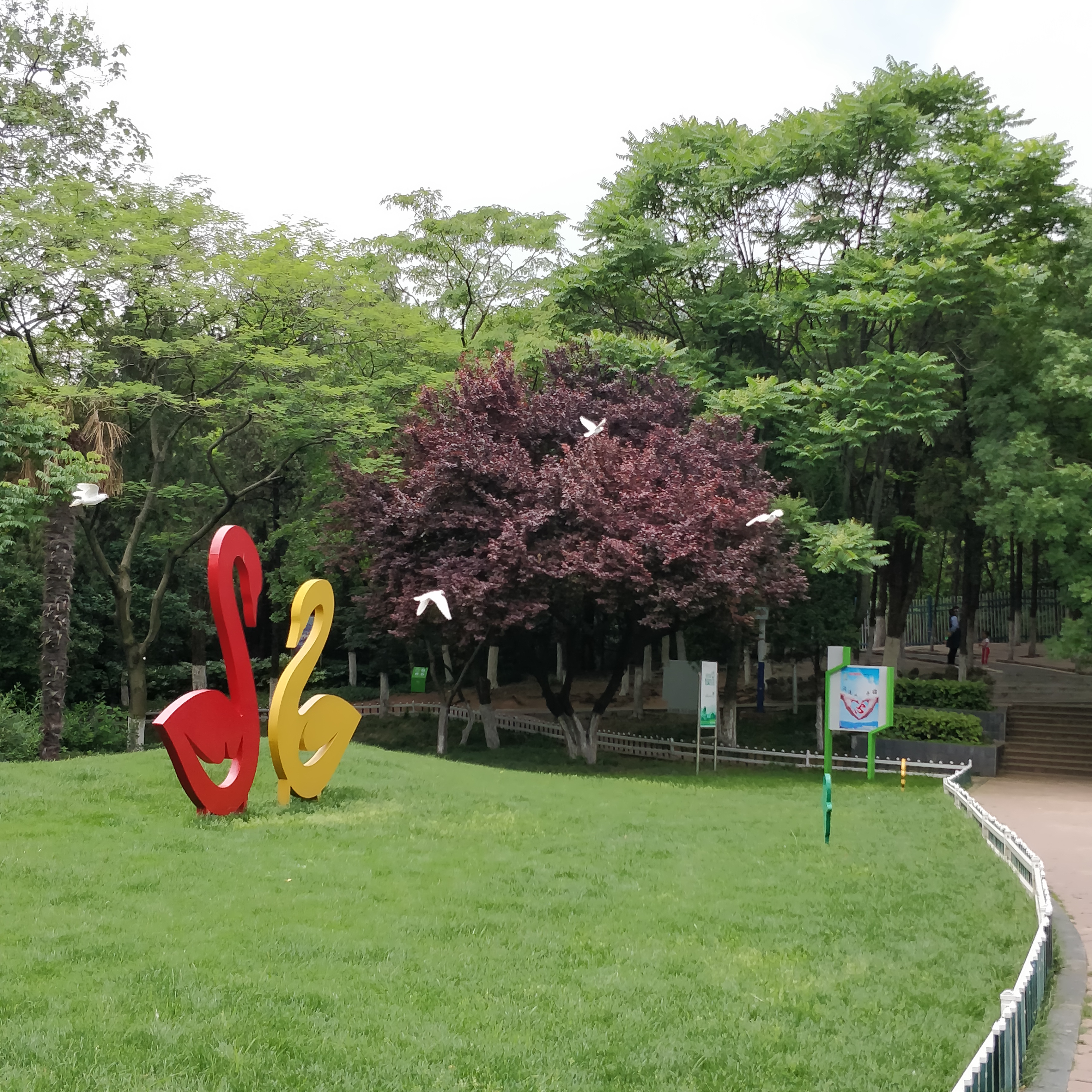 淮北相山公园相山之巅,我眼中的公园范文